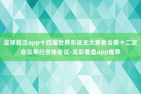 足球投注app十四届世界东谈主大常委会第十二次会议举行全体会议-足彩看盘app推荐