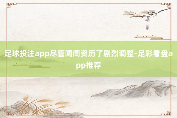 足球投注app尽管阛阓资历了剧烈调整-足彩看盘app推荐