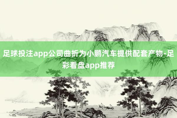 足球投注app公司曲折为小鹏汽车提供配套产物-足彩看盘app推荐