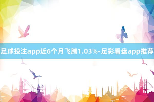 足球投注app近6个月飞腾1.03%-足彩看盘app推荐