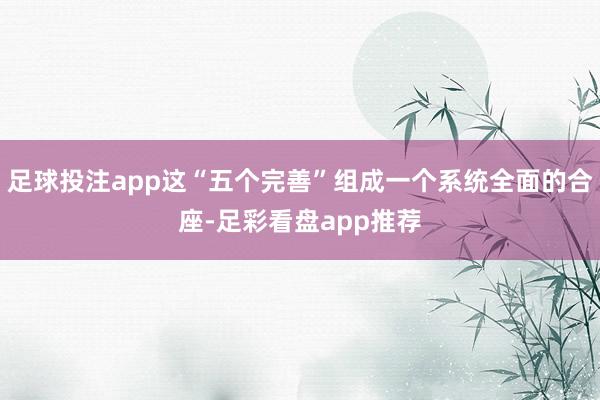 足球投注app这“五个完善”组成一个系统全面的合座-足彩看盘app推荐