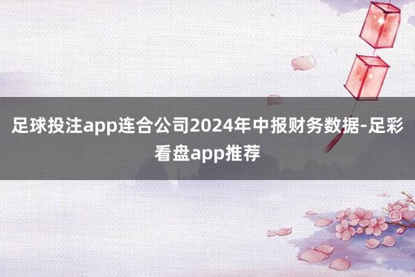 足球投注app连合公司2024年中报财务数据-足彩看盘app推荐