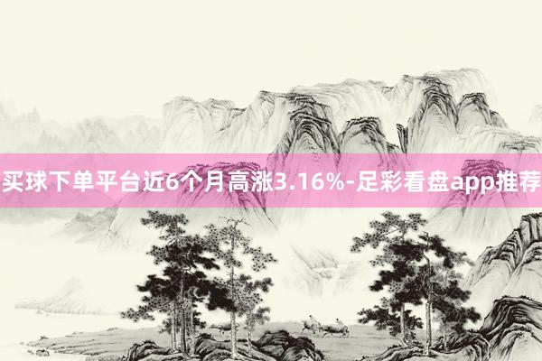 买球下单平台近6个月高涨3.16%-足彩看盘app推荐