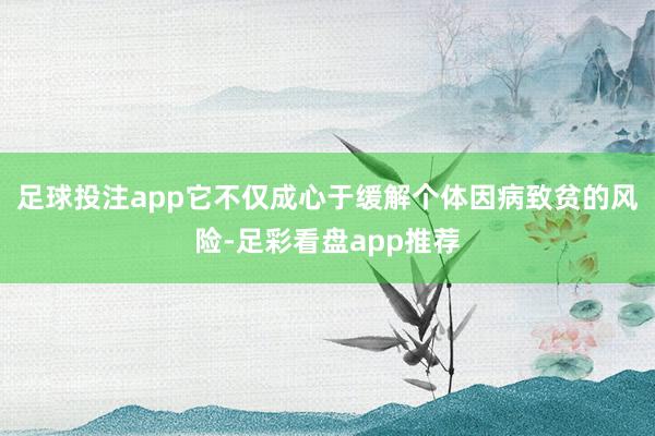 足球投注app它不仅成心于缓解个体因病致贫的风险-足彩看盘app推荐