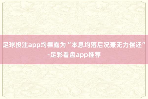 足球投注app均裸露为“本息均落后况兼无力偿还”-足彩看盘app推荐